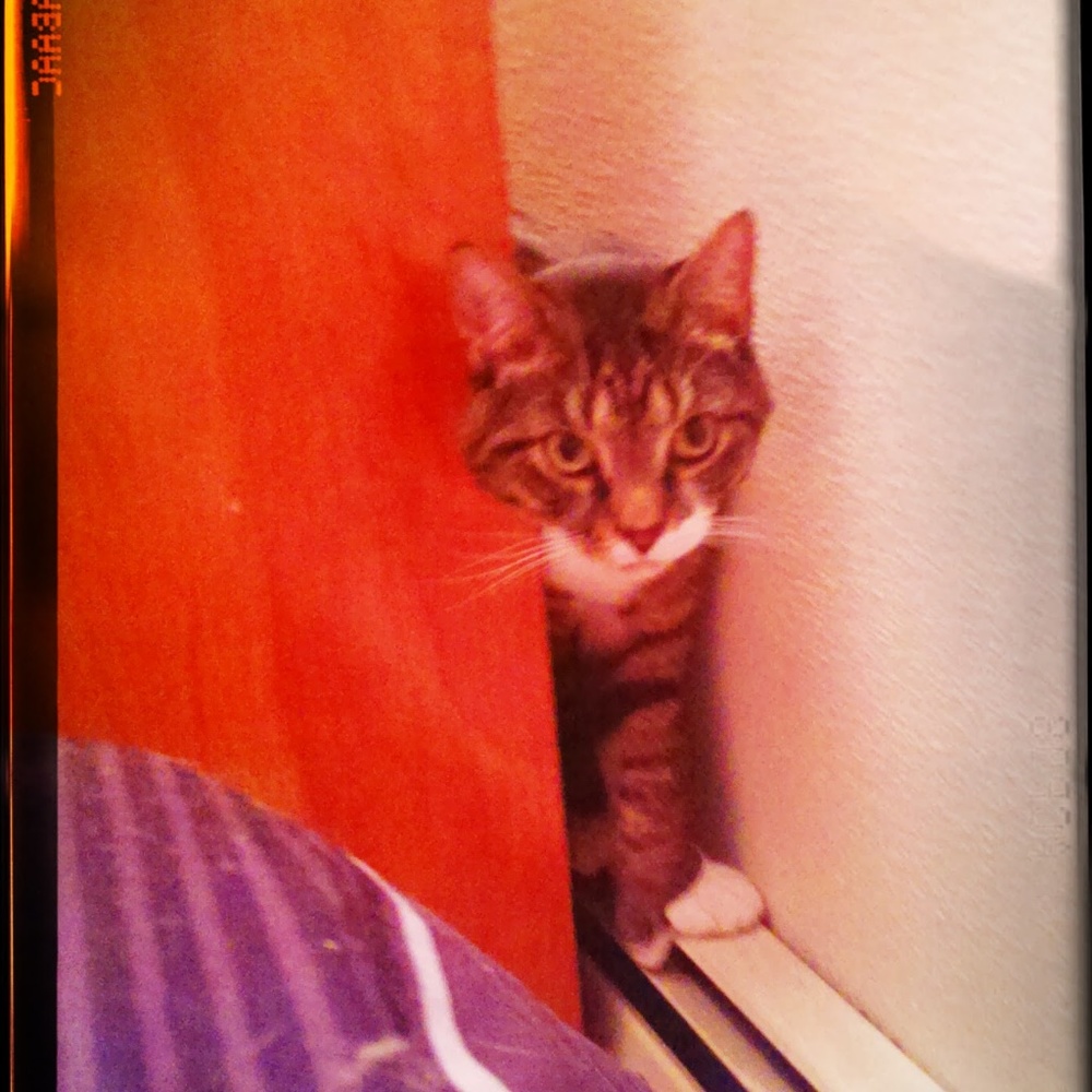 Meet your Posher, Storm O